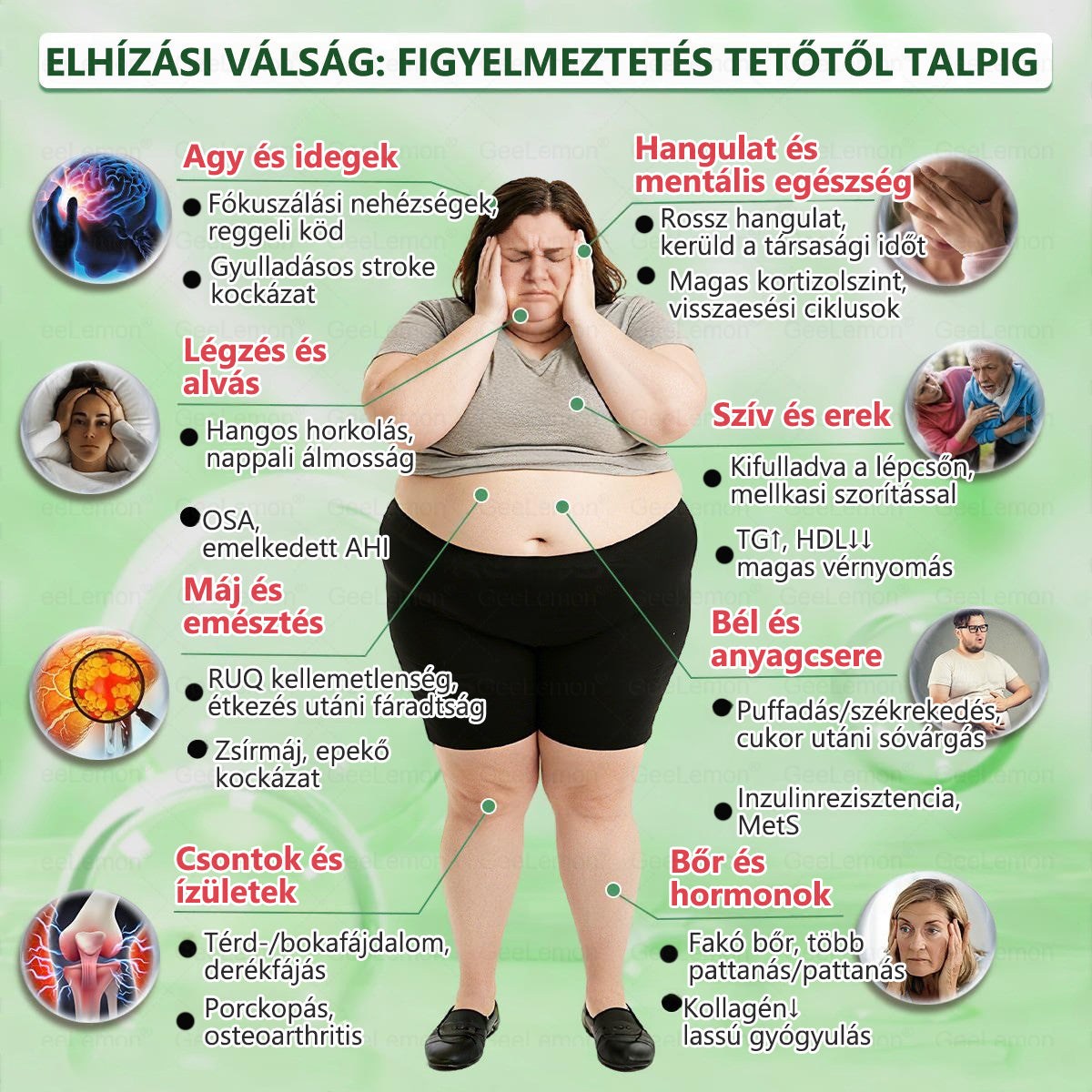𝑮𝐞𝐞𝑳𝐞𝒎𝒐𝒏® 👩‍⚕️ 10 az 1-ben karcsúsító nano mikrotűs tapasz (Napi egyszeri használat, látható változások 7 napon belül) Elhízás, szív- és érrendszeri egészség, cukorbetegség